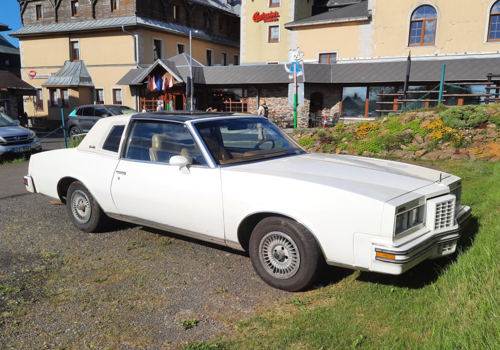 Pontiac Grand Prix 4.9 150 HP, 1979