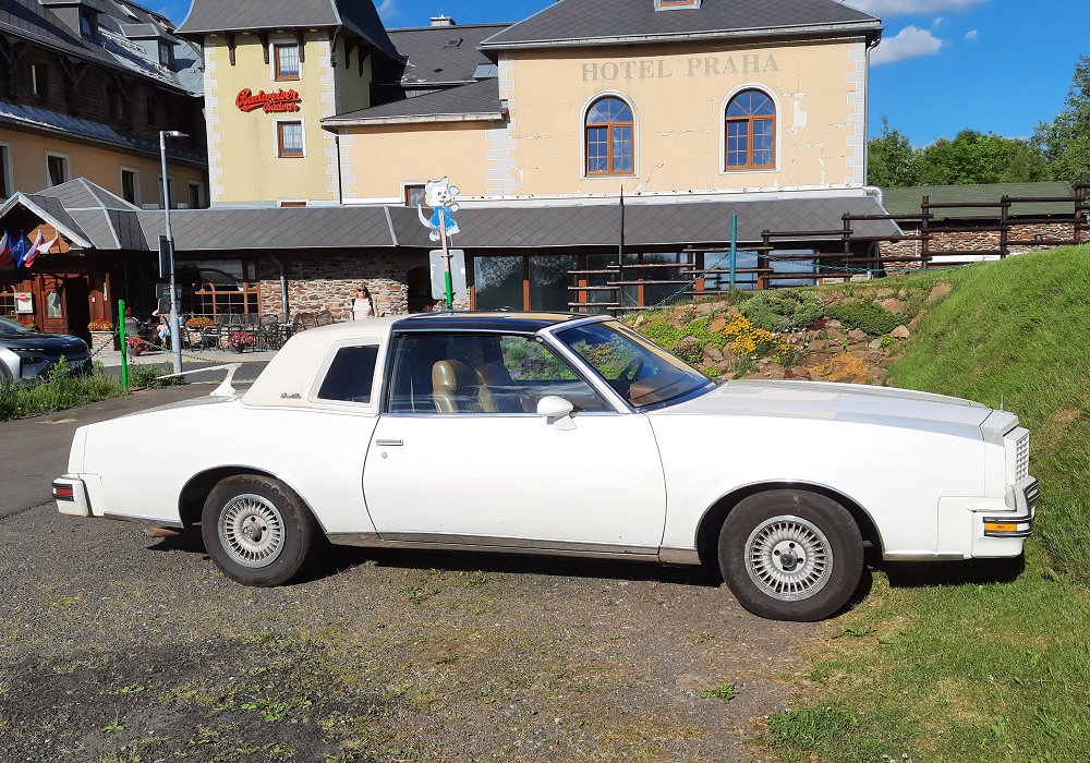 Pontiac Grand Prix 4.9 150 HP, 1979