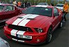 Shelby Ford Mustang GT500, rok:2007
