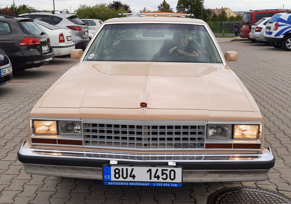 Chevrolet Malibu Classic Station Wagon 4.4, 1982
