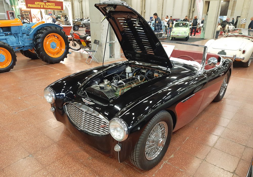 Austin-Healey 100 Six BN4 Rallye, 1959