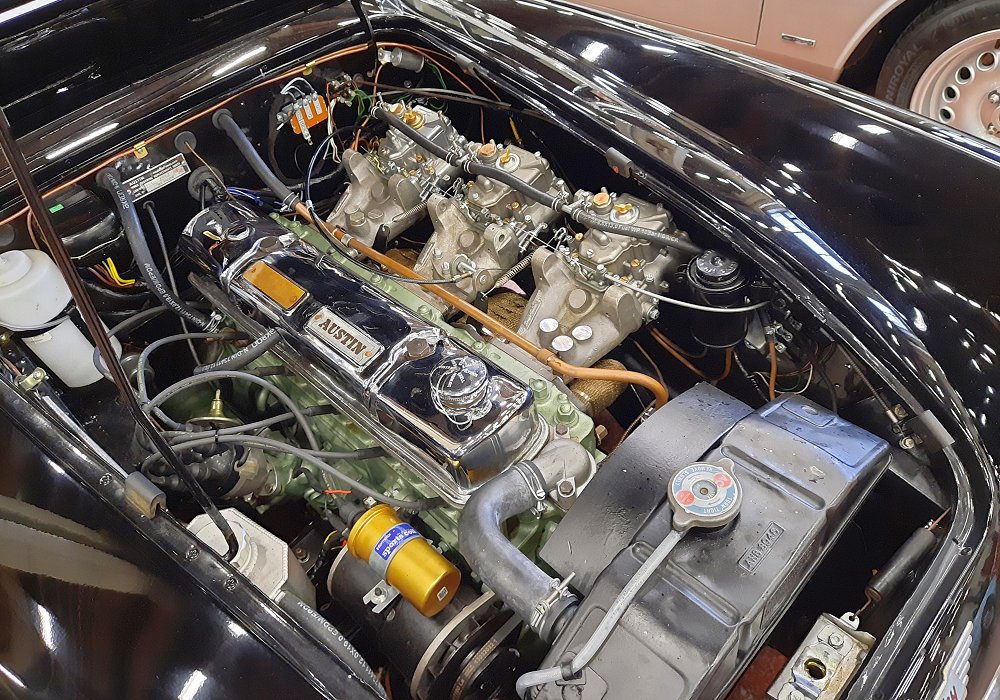 Austin-Healey 100 Six BN4 Rallye, 1959