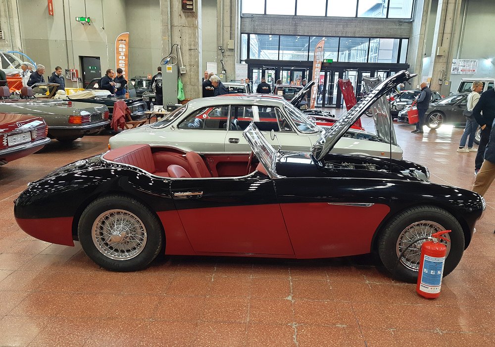 Austin-Healey 100 Six BN4 Rallye, 1959