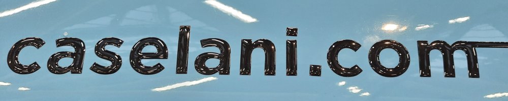 Caselani Type Ami, 2024