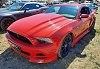 Ford Mustang V6 305 automatic, Year:2014