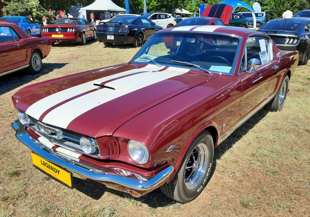 Ford Mustang Fastback 289
