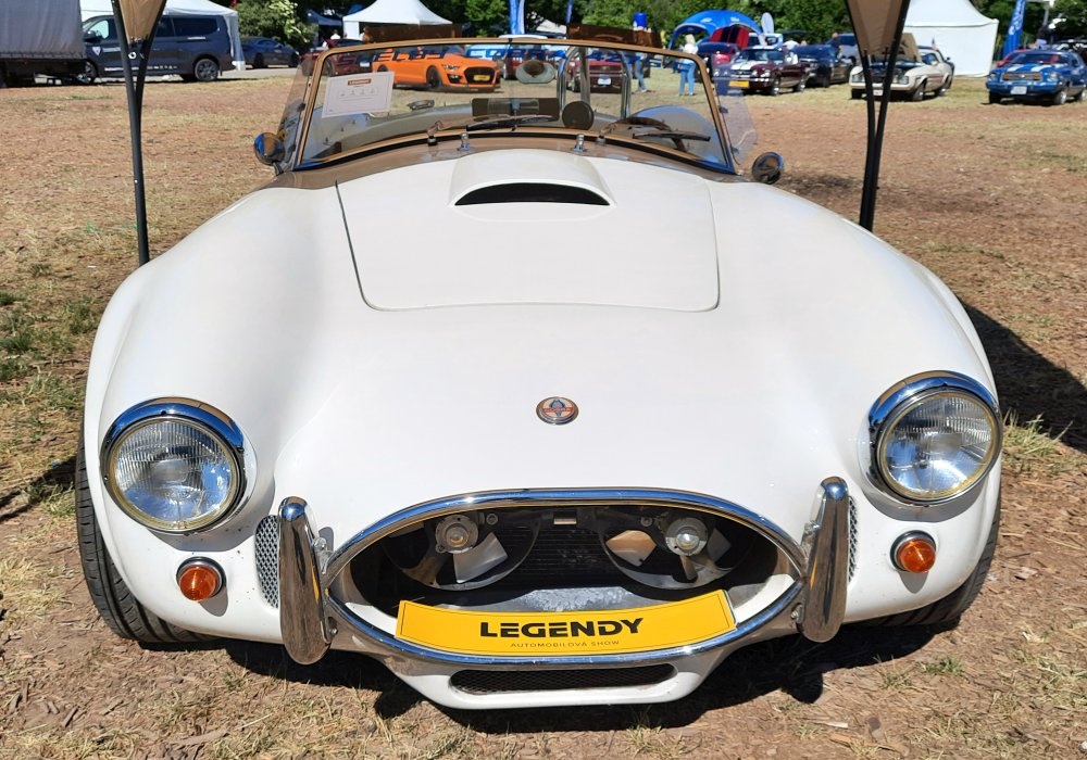 Shelby Cobra 427 S/C Replica, 1971